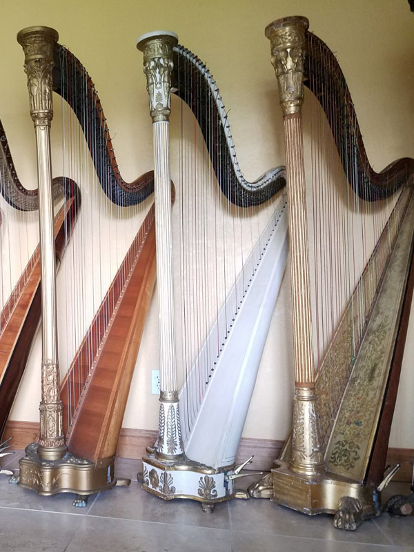 Display Harps for rent