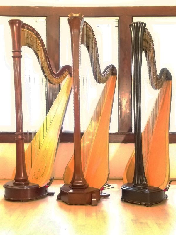Pedal Harp Rentals
